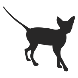 Dise O Png Y Svg De Gato Caminando Para Camisetas