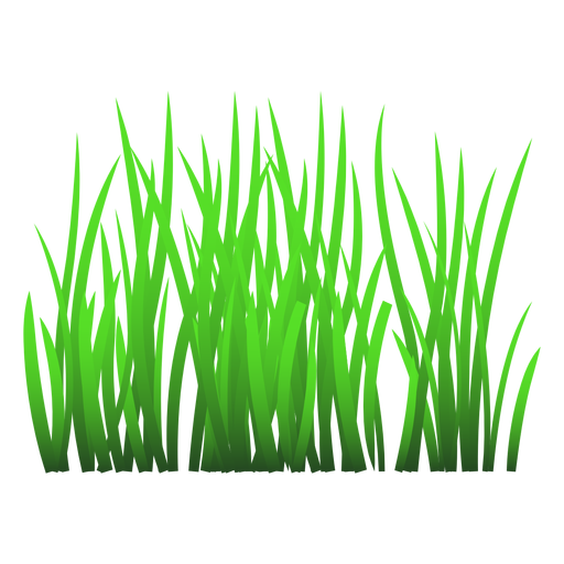 Ilustración de hierba verde Descargar PNG SVG transparente