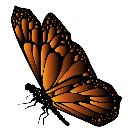 Vector Transparente Png Y Svg De Silueta De Mariposa Vrogue Co