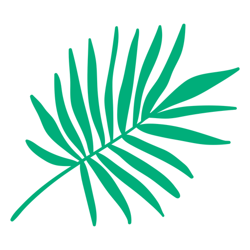 Dibujado A Mano Hoja De Palmera Tropical Descargar Png Svg Transparente