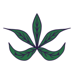 Dise O Png Y Svg De Hojas De Trazo De Color De Planta Para Camisetas