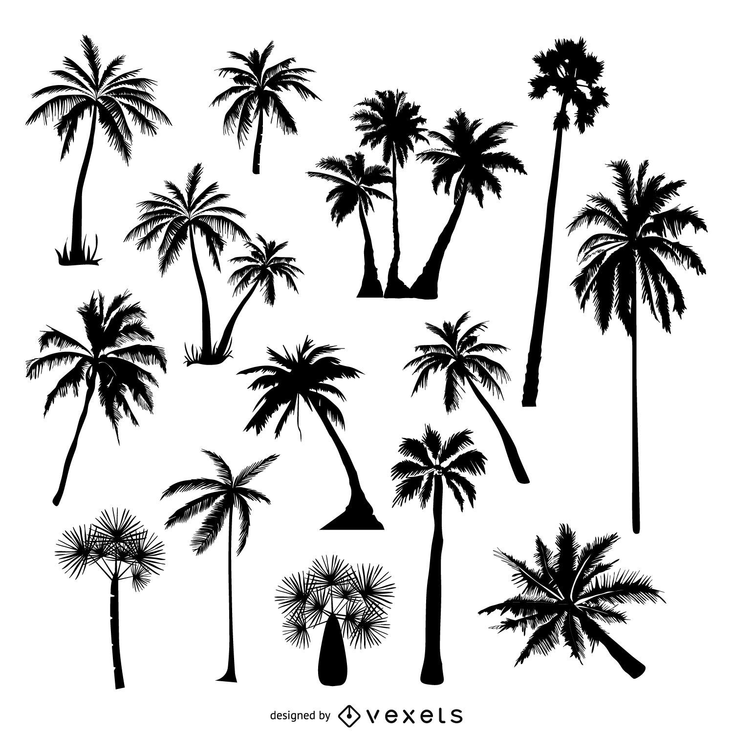 palm tree silhouette vector