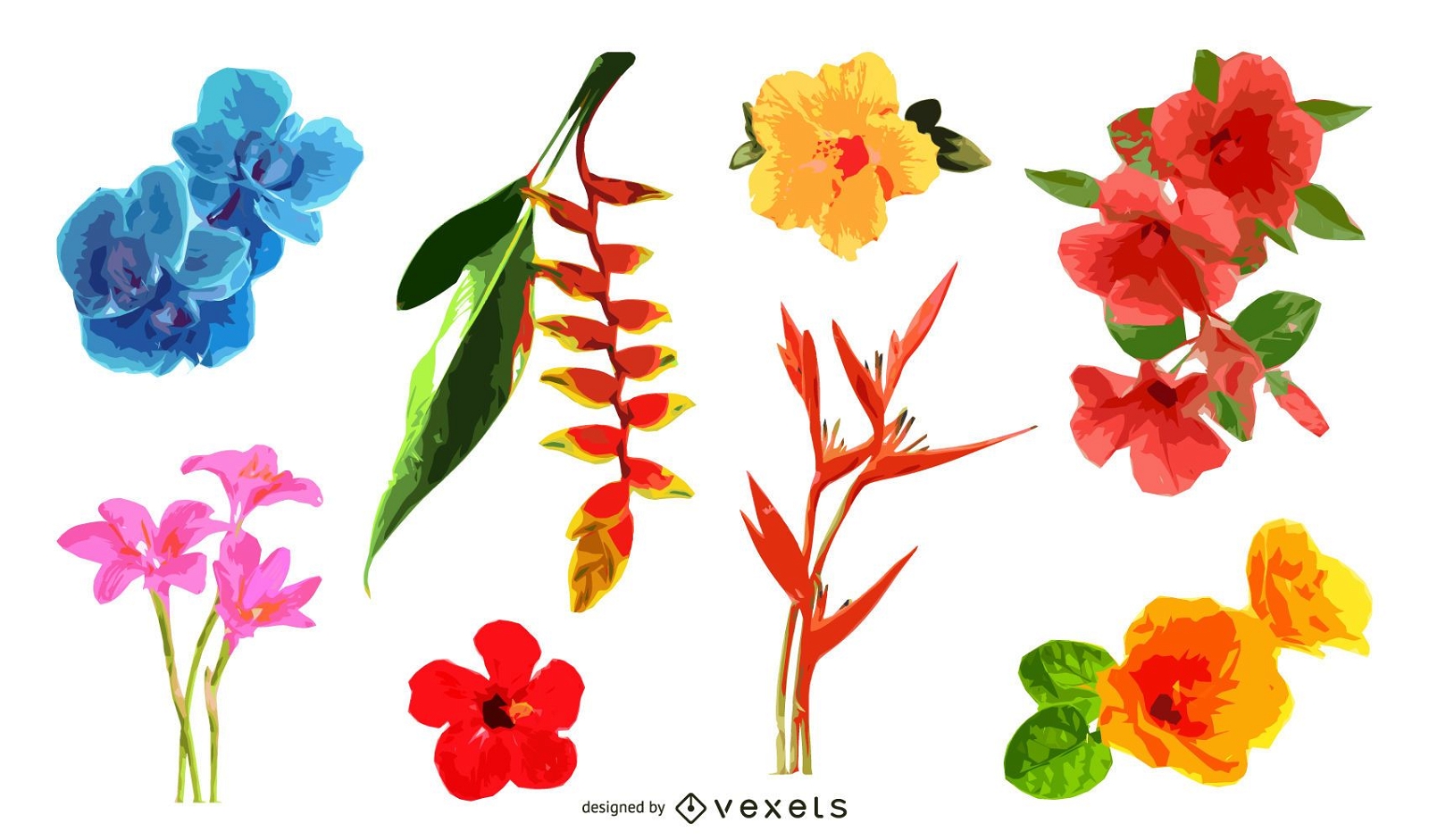 Descarga Vector De Conjunto De Ilustración De Flores Tropicales