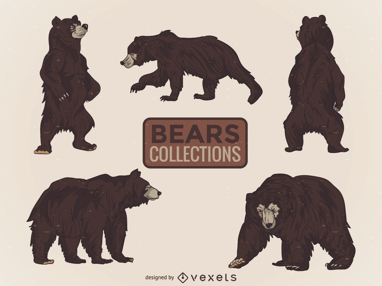 Illustrated Wild Bear Collection Vector Download
