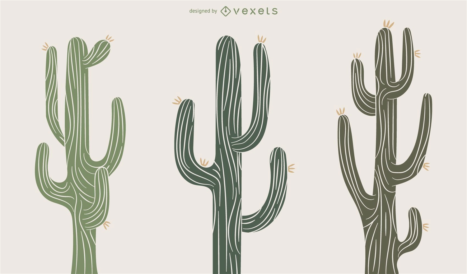 Cactus illustration png Vectors & Illustrations for Free Download