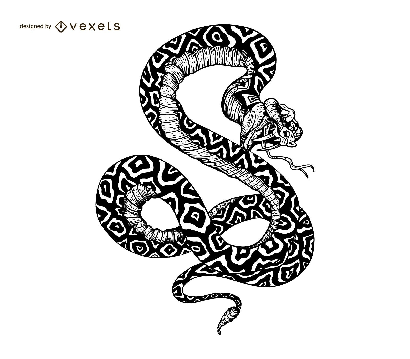 Tattoo art snake and skull pattern drawing and sketch black and white  6006124 Vector Art at Vecteezy