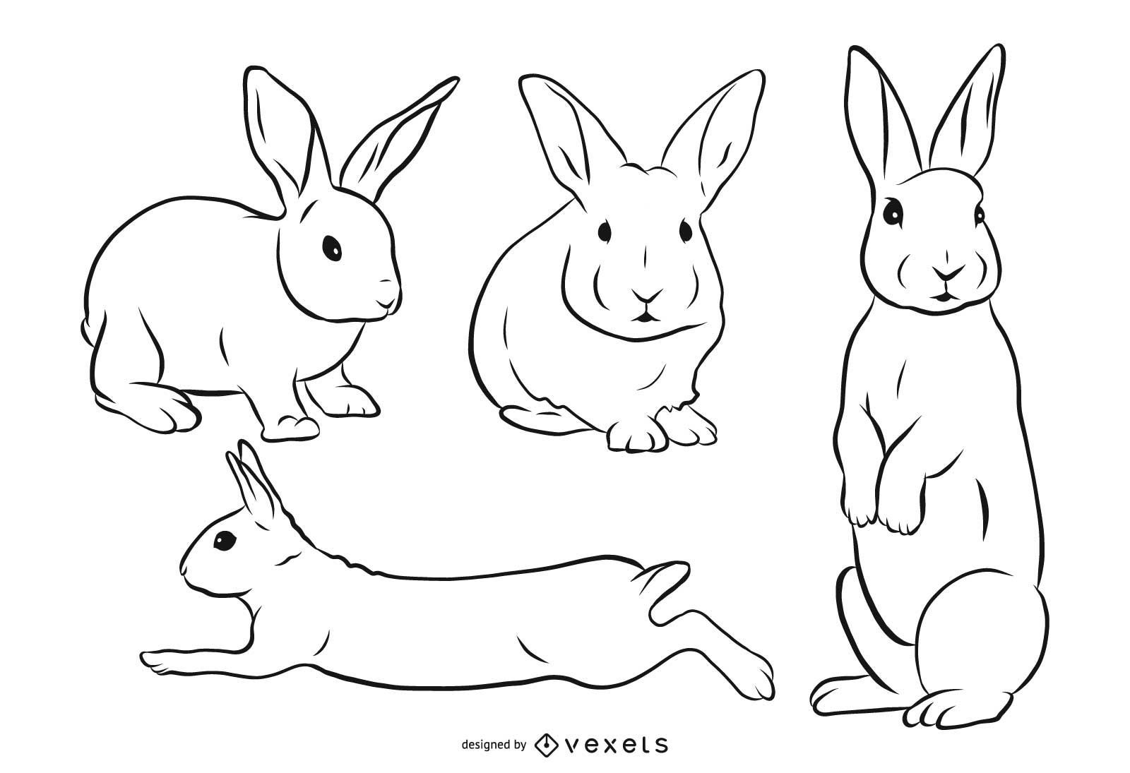 Rabbit Stroke Illustration Set Vector Download