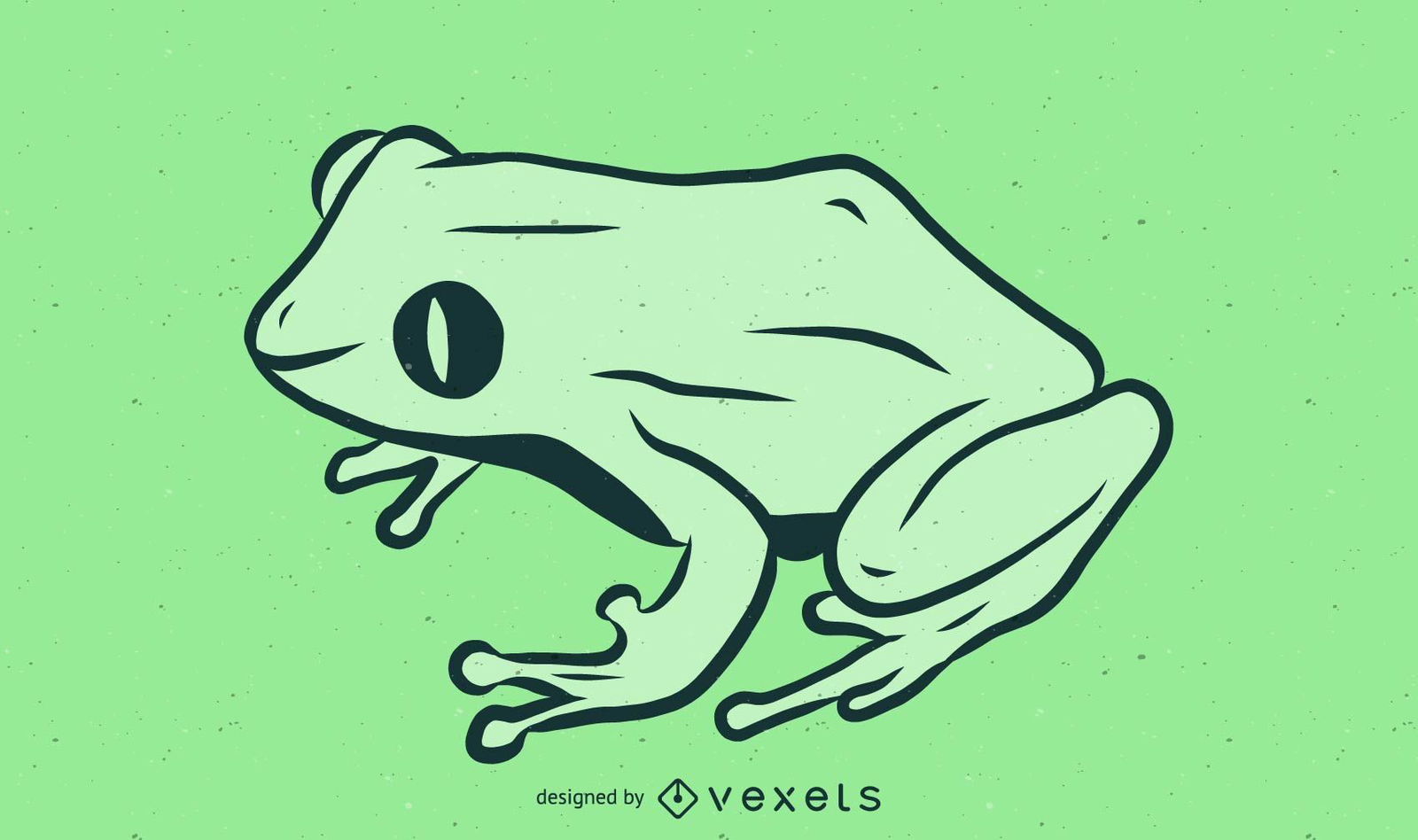 Coqui Frog Illustration Vector Download