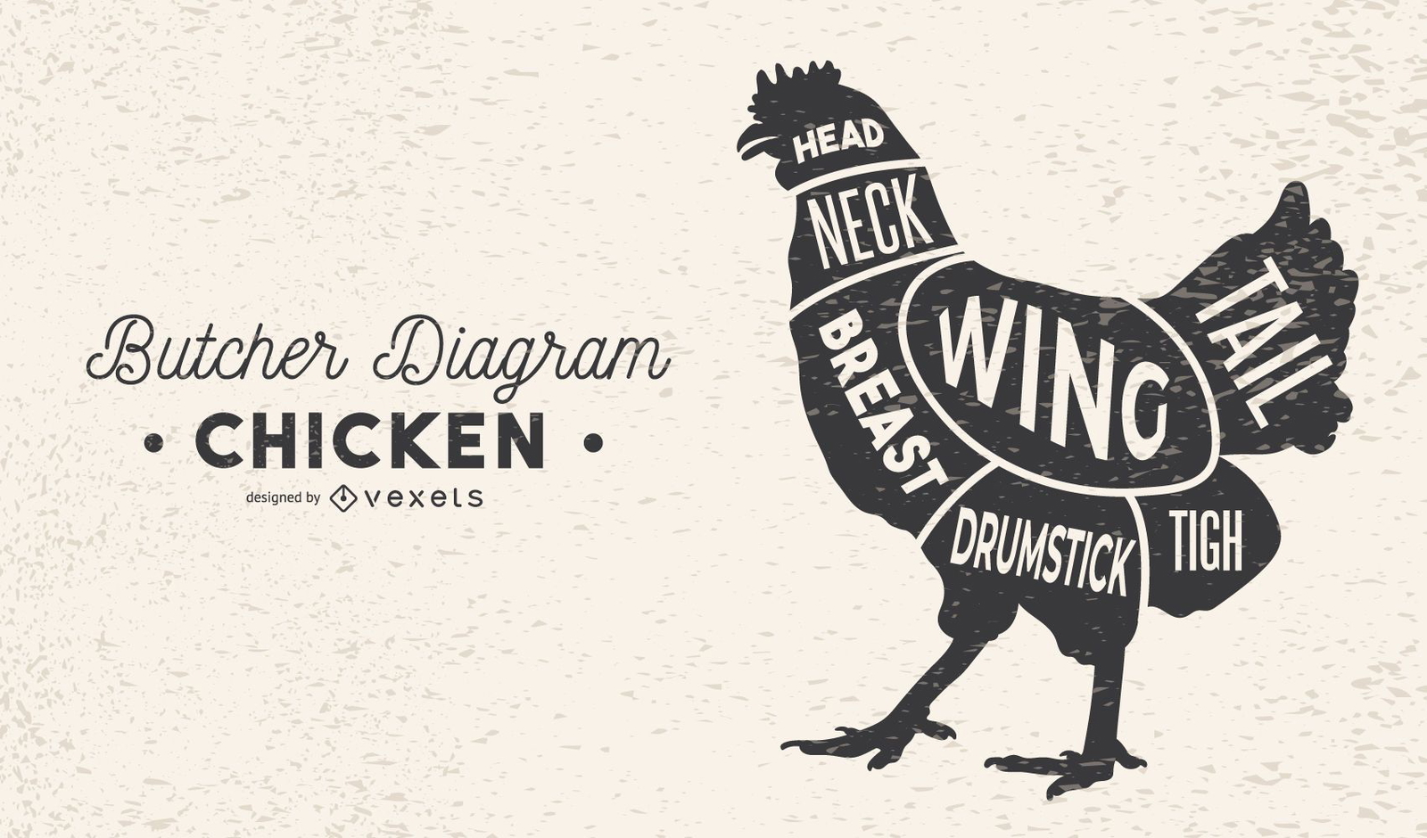 Chicken Butcher Diagram Vector Download