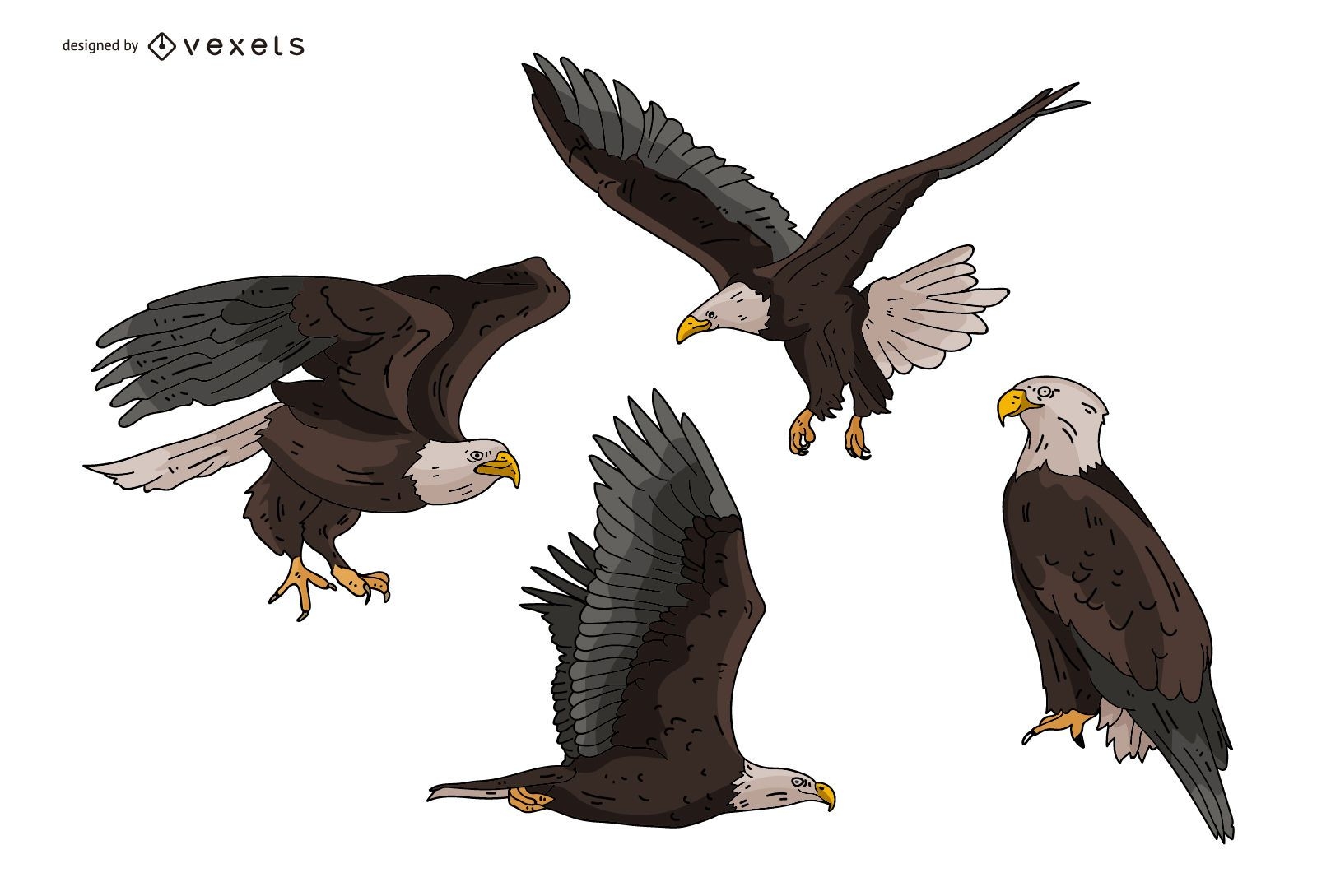 Descarga Vector De Conjunto De Ilustración De águila