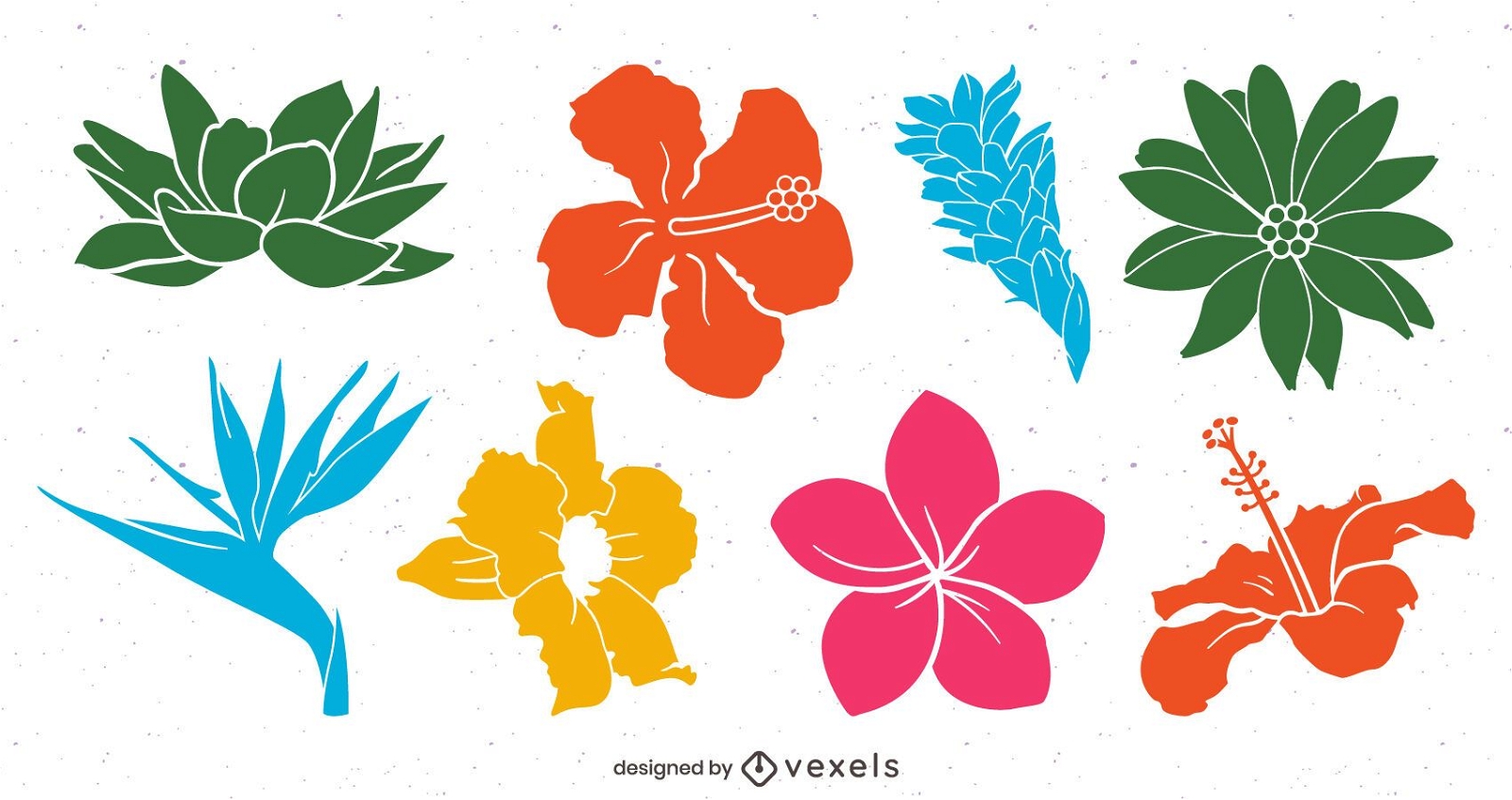 Descarga Vector De Paquete De Flores Tropicales De Colores