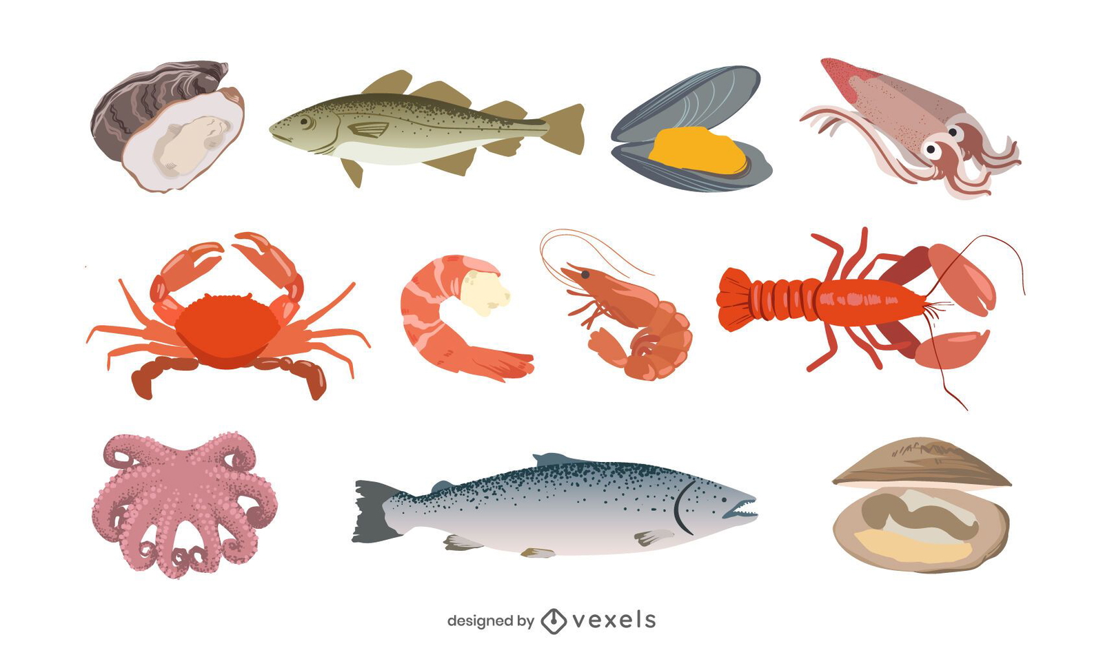 Shellfish Illustration Set Vector Download