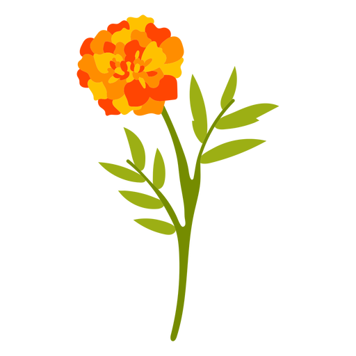 Orange Carnation Flower Flat PNG & SVG Design For T-Shirts
