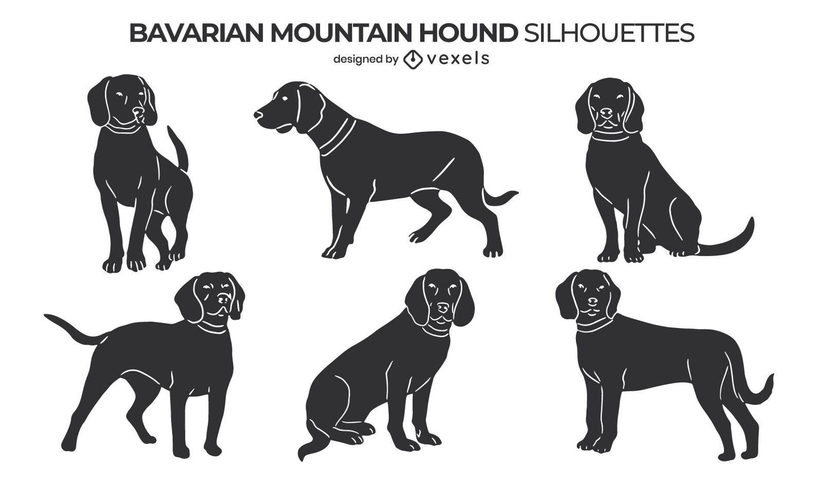 what do you feed a bavarian mountain hound