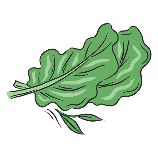 lechuga png