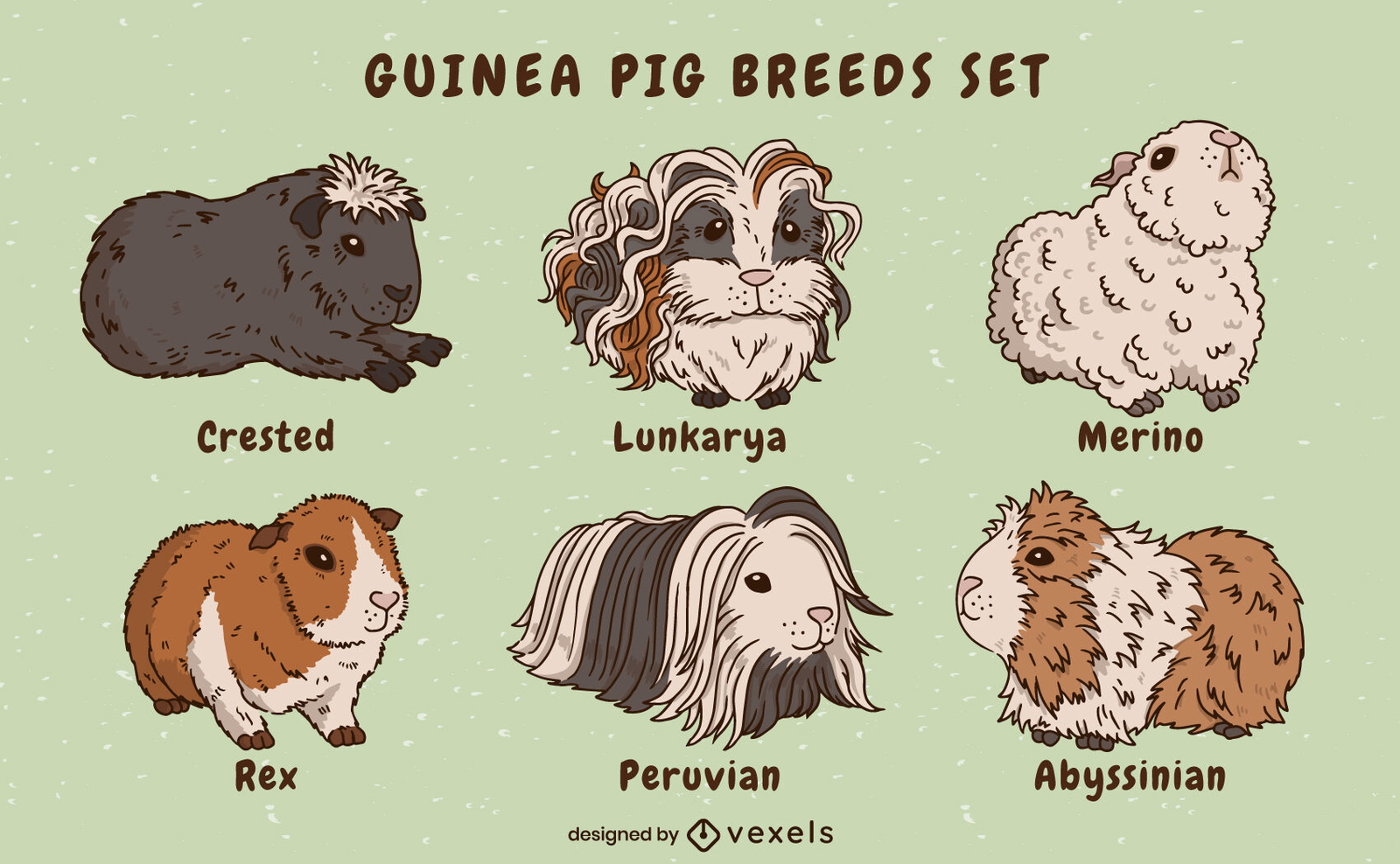 Can Guinea Pigs Eat Bamboo? (Leaves, Shoots More) atelieryuwa.ciao.jp