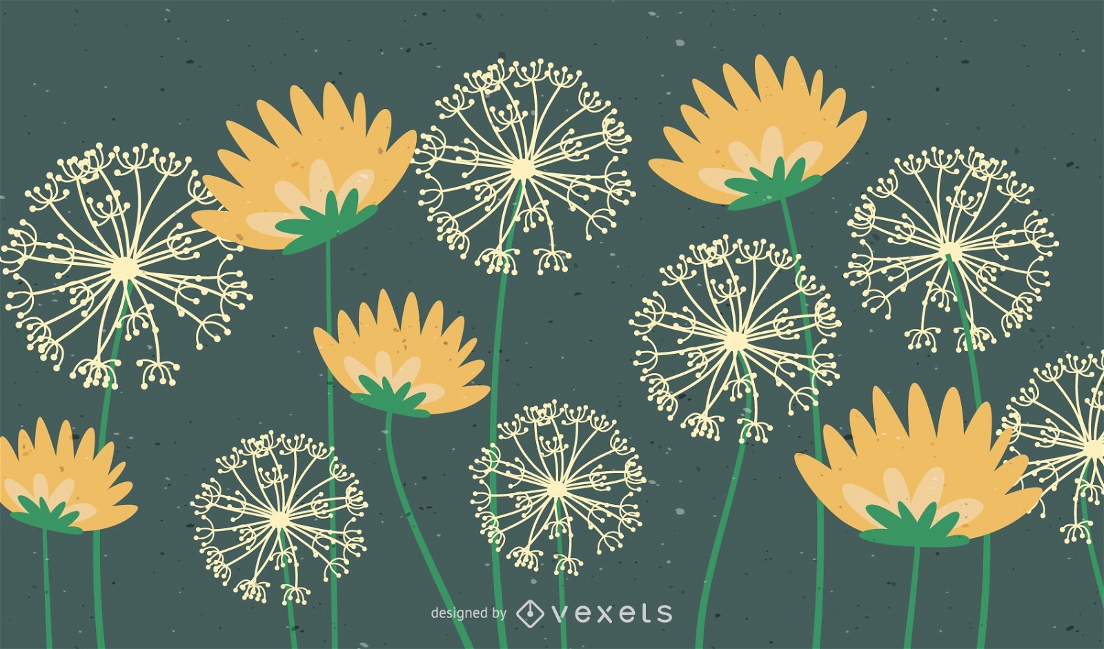 dandelion illustration vector free download