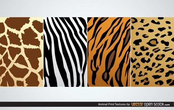 Animal Print Textures Vector Download