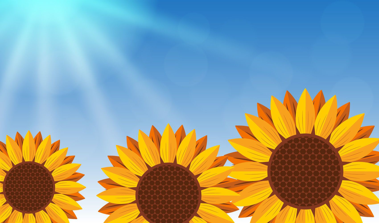 Descarga Vector De Girasoles Realistas Sobre Fondo Azul