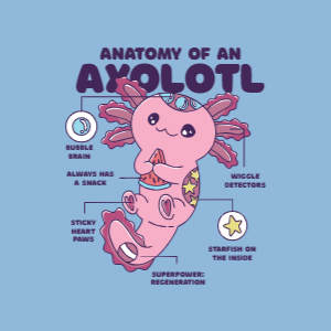 Axolotl anatomy funny editable t-shirt template