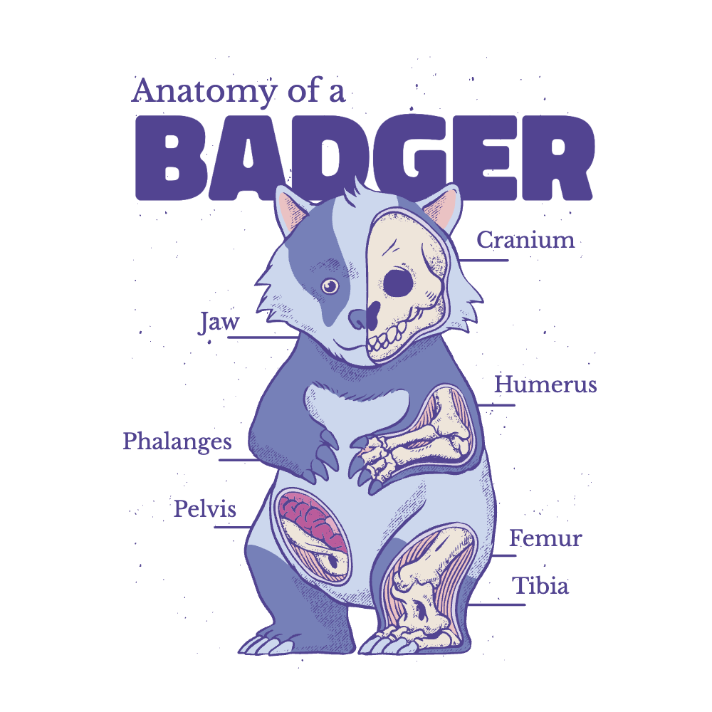 Badger anatomy editable t-shirt template