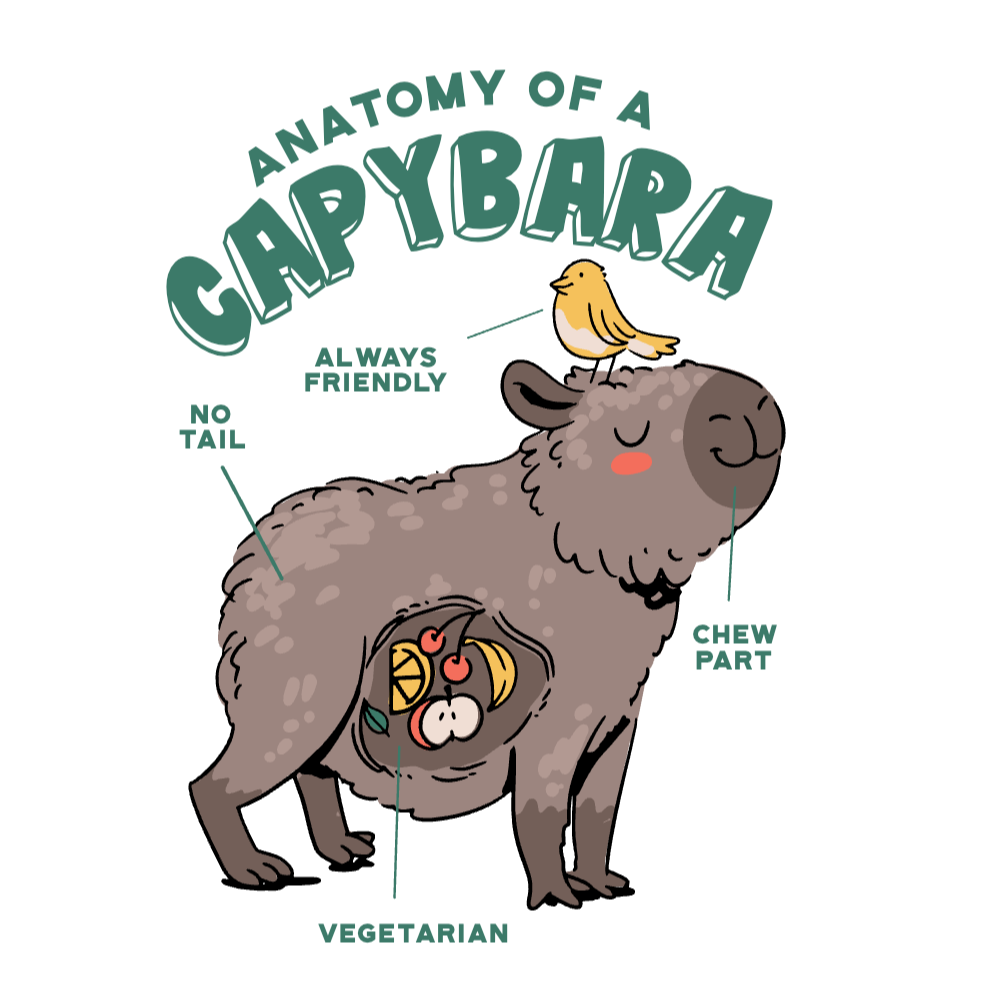 Capybara anatomy cute editable t-shirt template