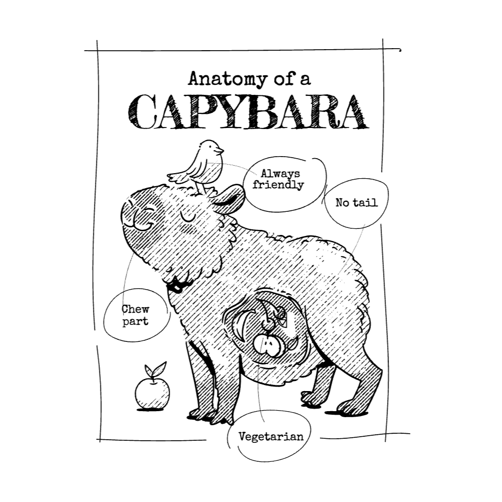 Capybara anatomy editable t-shirt template