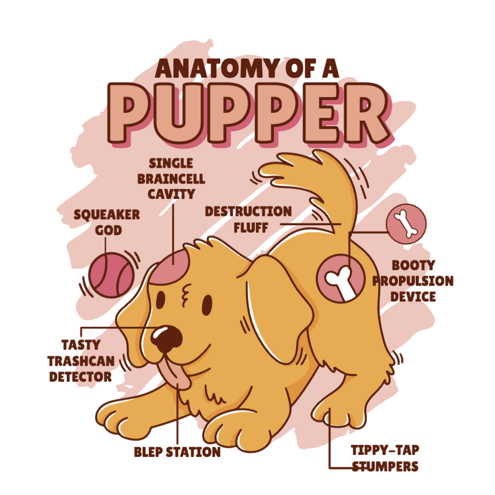 Dog anatomy editable t-shirt template | T-Shirt Maker