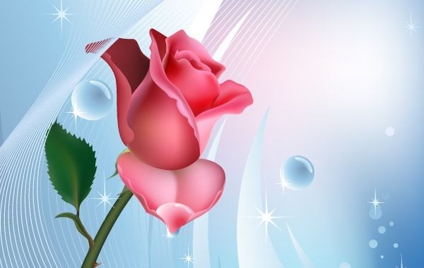 Rosa em fundo azul com bolhas de água