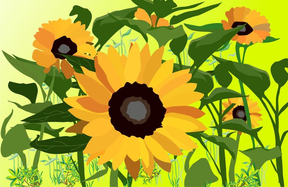 Mehlpflanzen Hintergrund mit Sonnenblumen