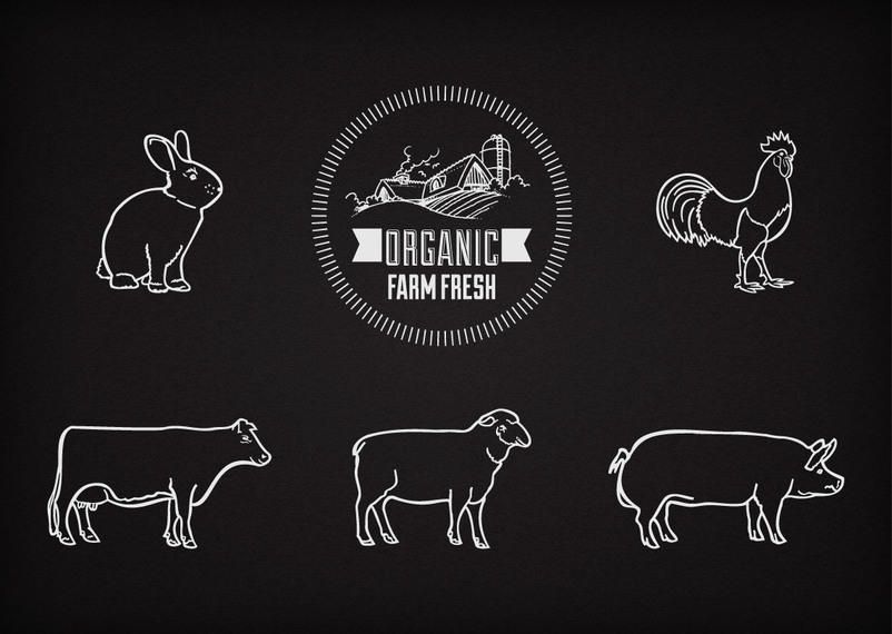 Liner Farm Animals on Chalkboard Vector download