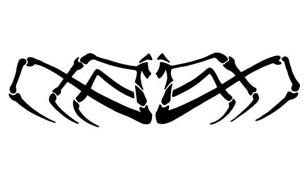 Vetor de aranha abstrata Vetor de aranha abstrata