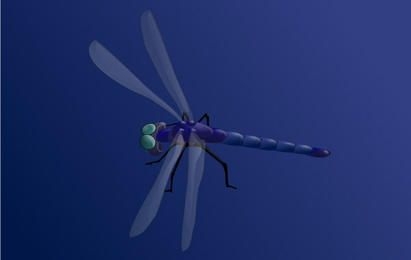 Clip-art da Blue Dragonfly