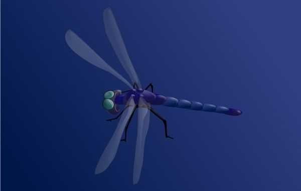 Imágenes prediseñadas de libélula azul
