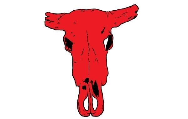Cráneo de Toro