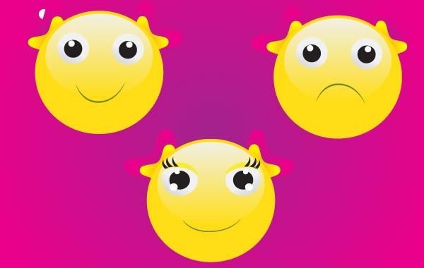 Smiley Face Smiley Face