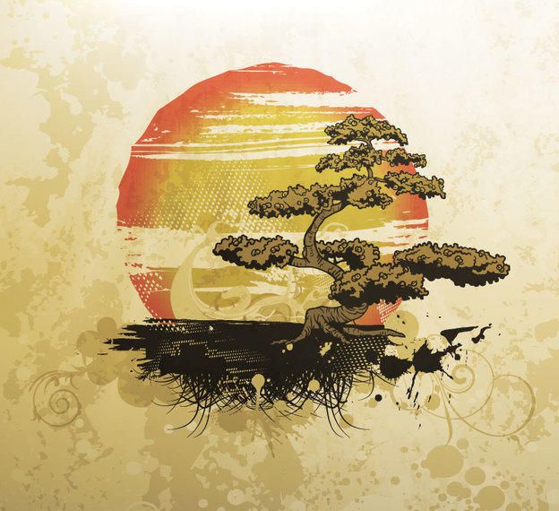 Asian bonsai tree illustration Asian bonsai tree illustration