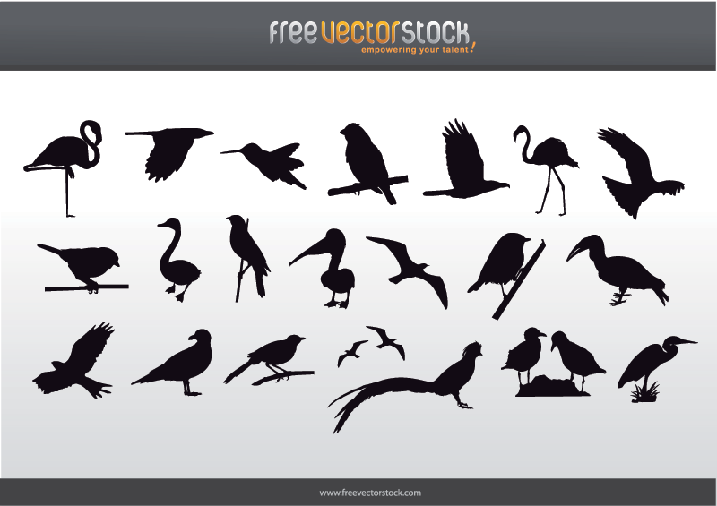 Colección gratuita de siluetas de aves
