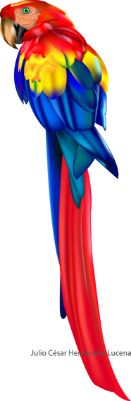Vector de loro Vector de loro