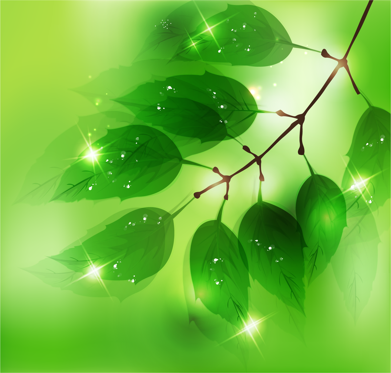 Natur Hintergrund mit