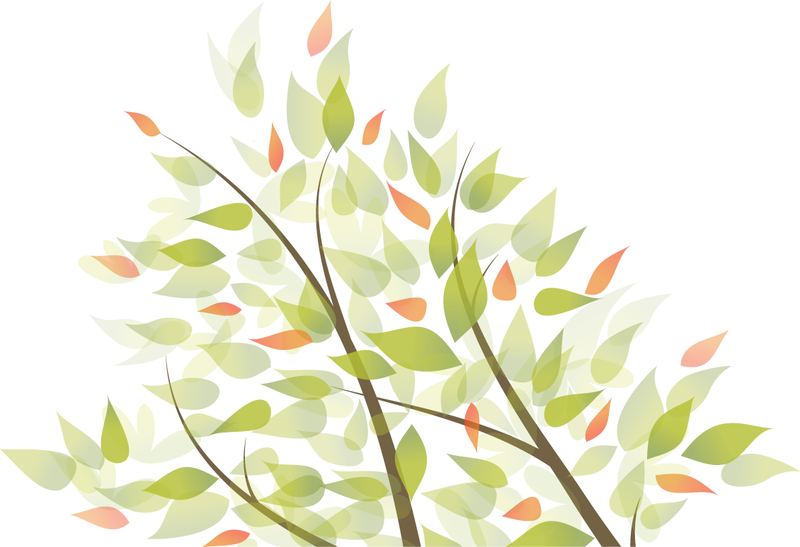 Green leaves on branch illustration - Vector download
