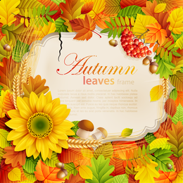 Lindas folhas de outono e quadro de flores