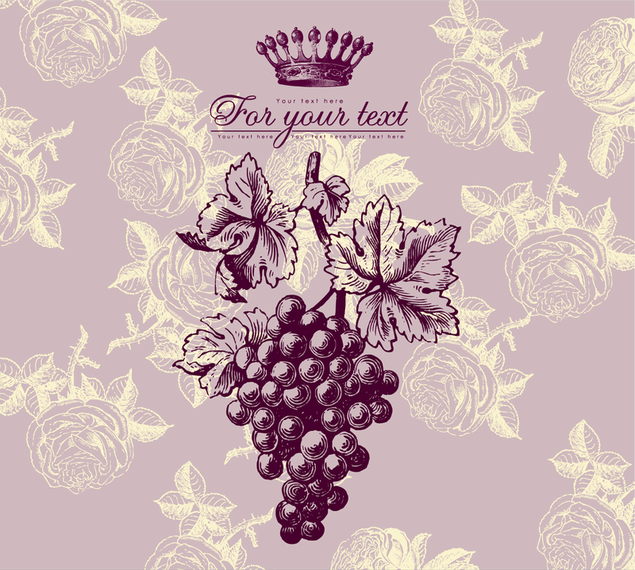 Illustrated grapes design - Vector download