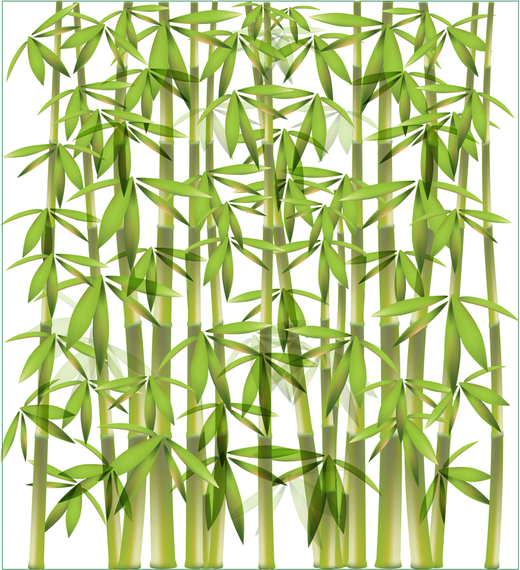 Bamboo Background 1 - Vector download