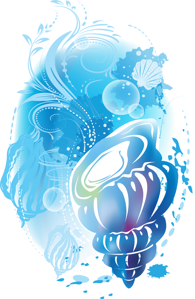 Watercolor Shell Design In Blue Vector Download