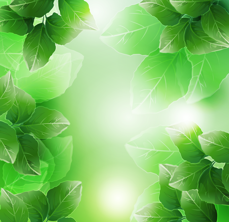 Fondo de marco de plantas y hojas