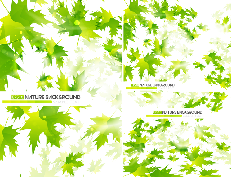 Conjunto de fundos de folhas verdes Conjunto de fundos de folhas verdes