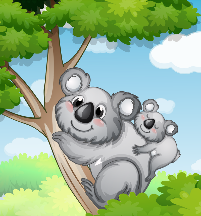 Ilustração da família Koala