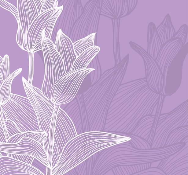 The Tulips Background The Tulips Background