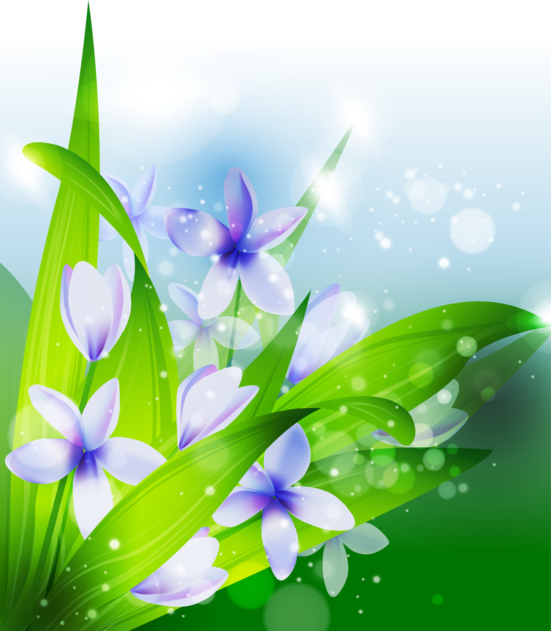 Illustrated Flowers And Plants Vector Download